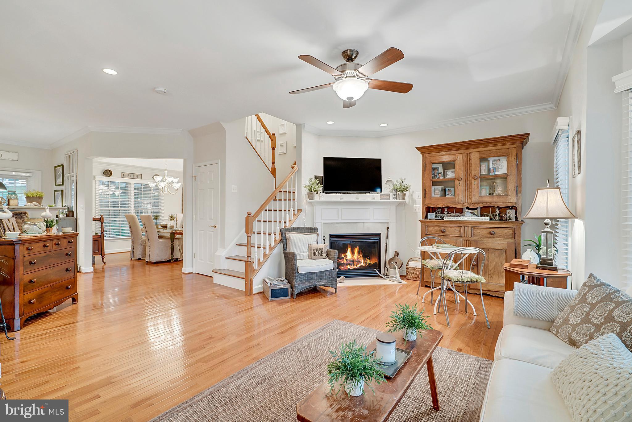 PLANE TREE - Residential