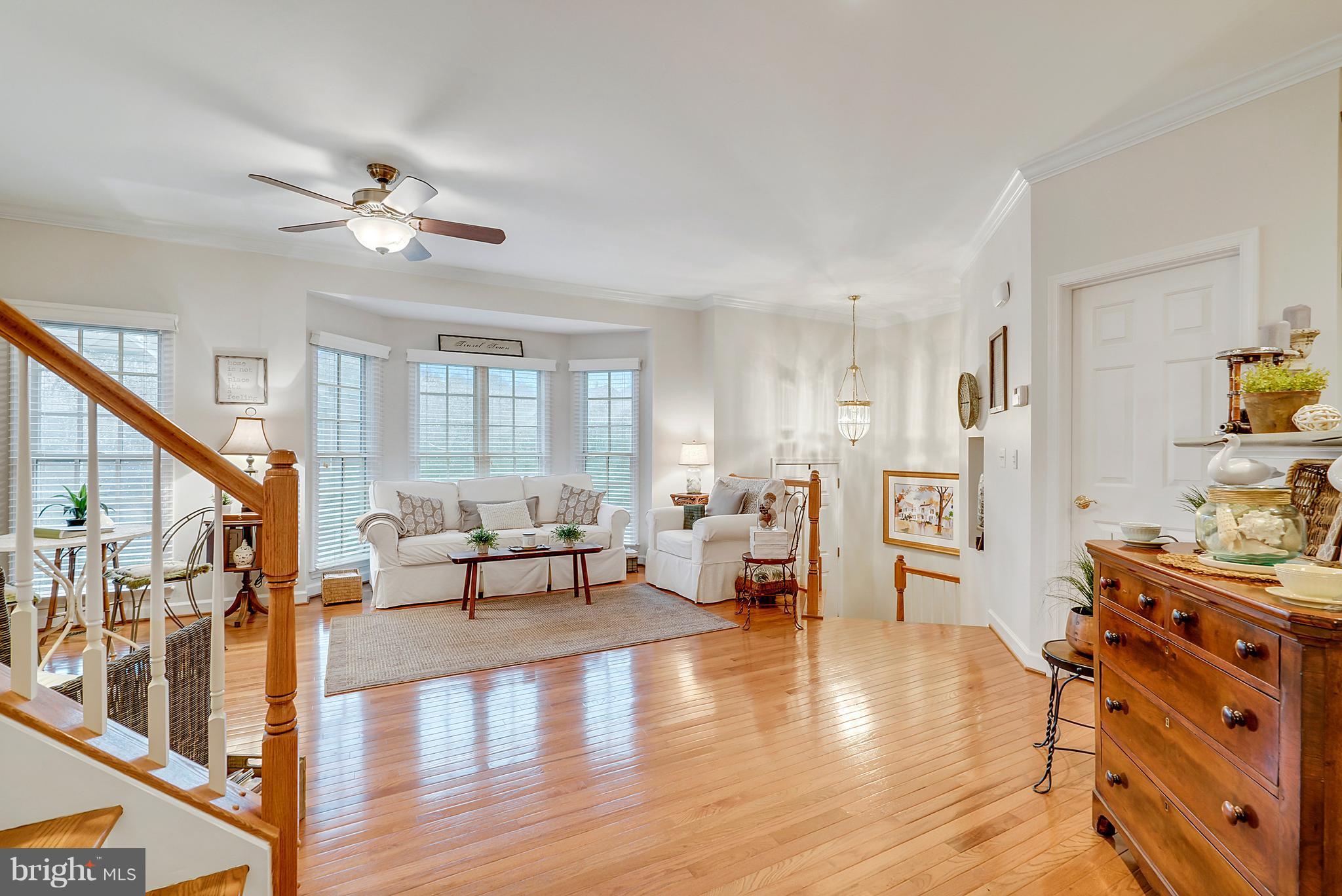 PLANE TREE - Residential