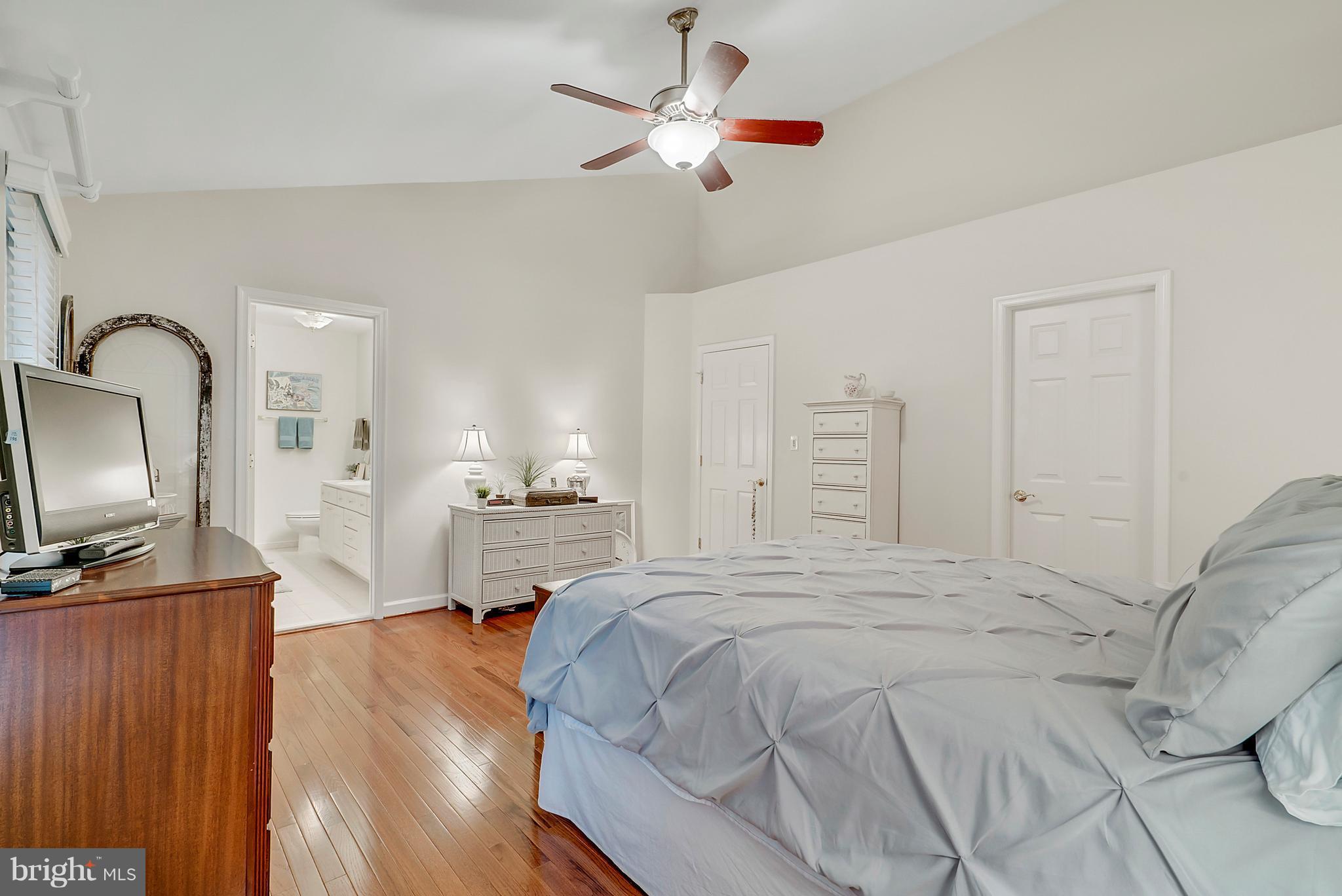 PLANE TREE - Residential