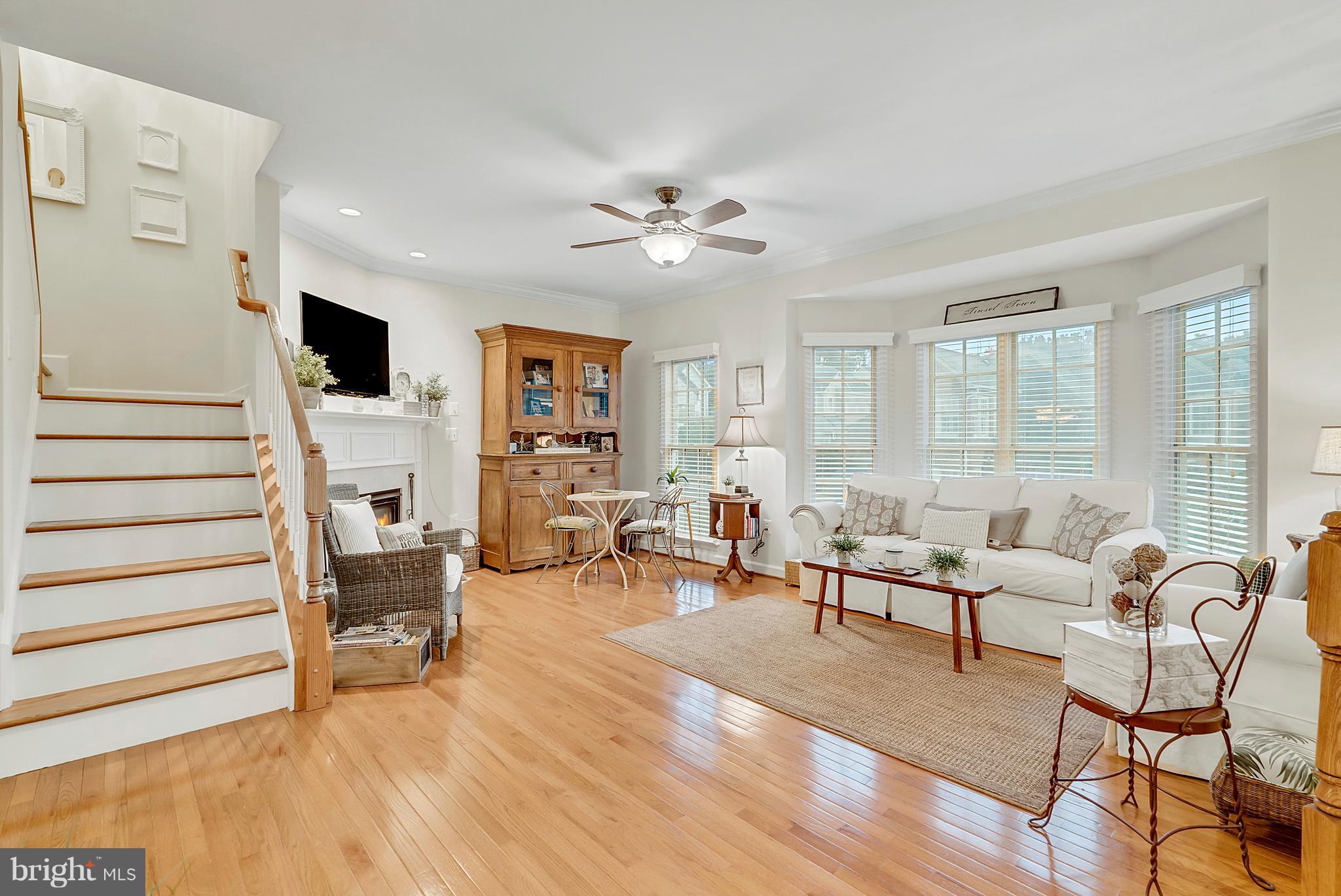 PLANE TREE - Residential