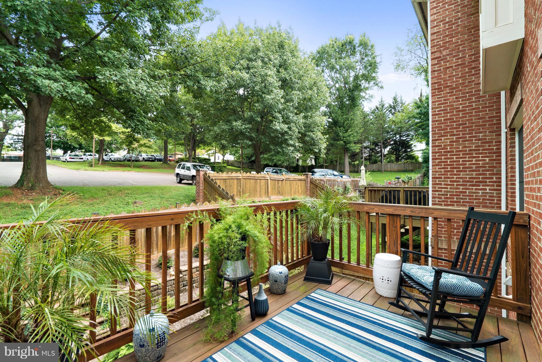 PLANE TREE - Residential