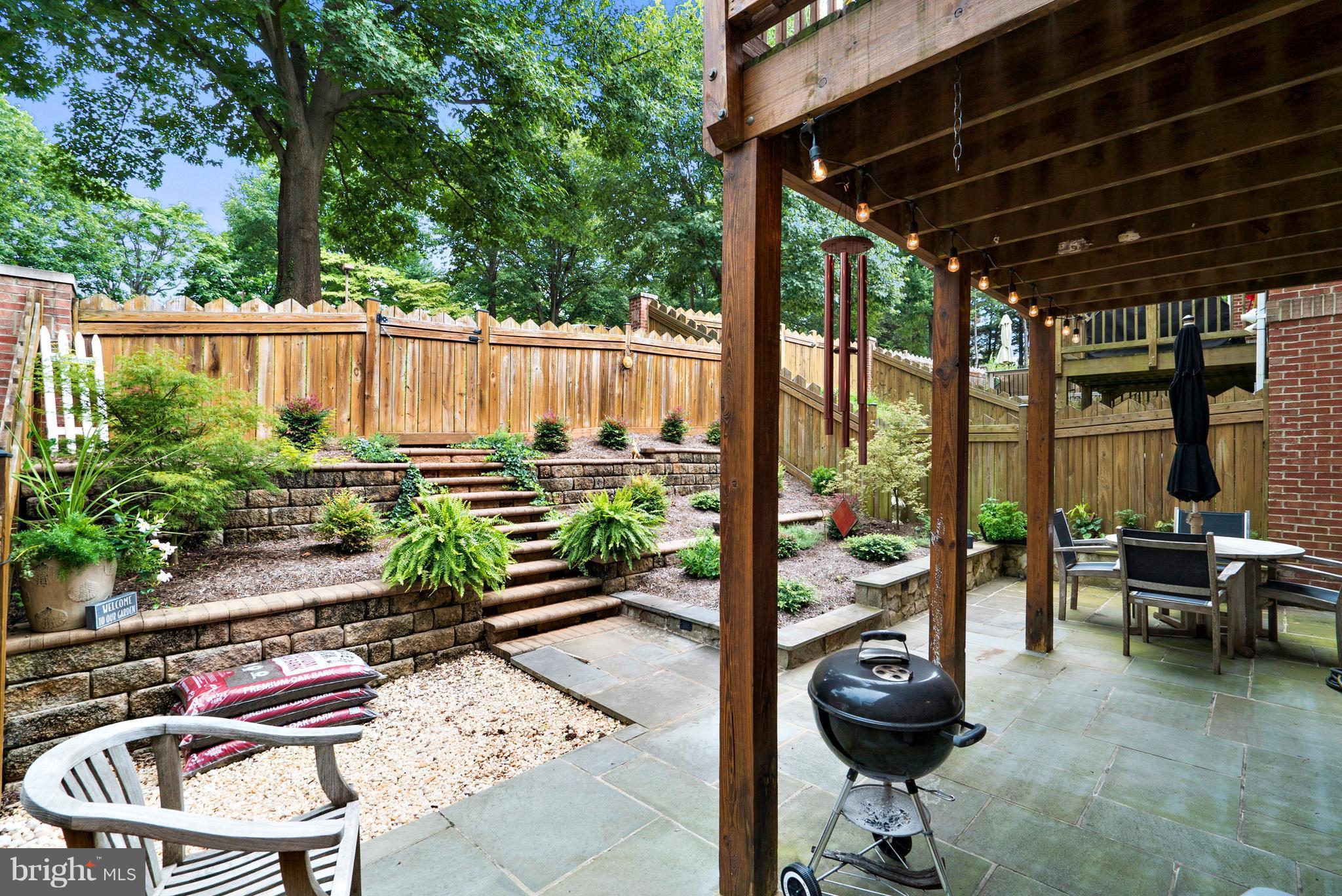 PLANE TREE - Residential