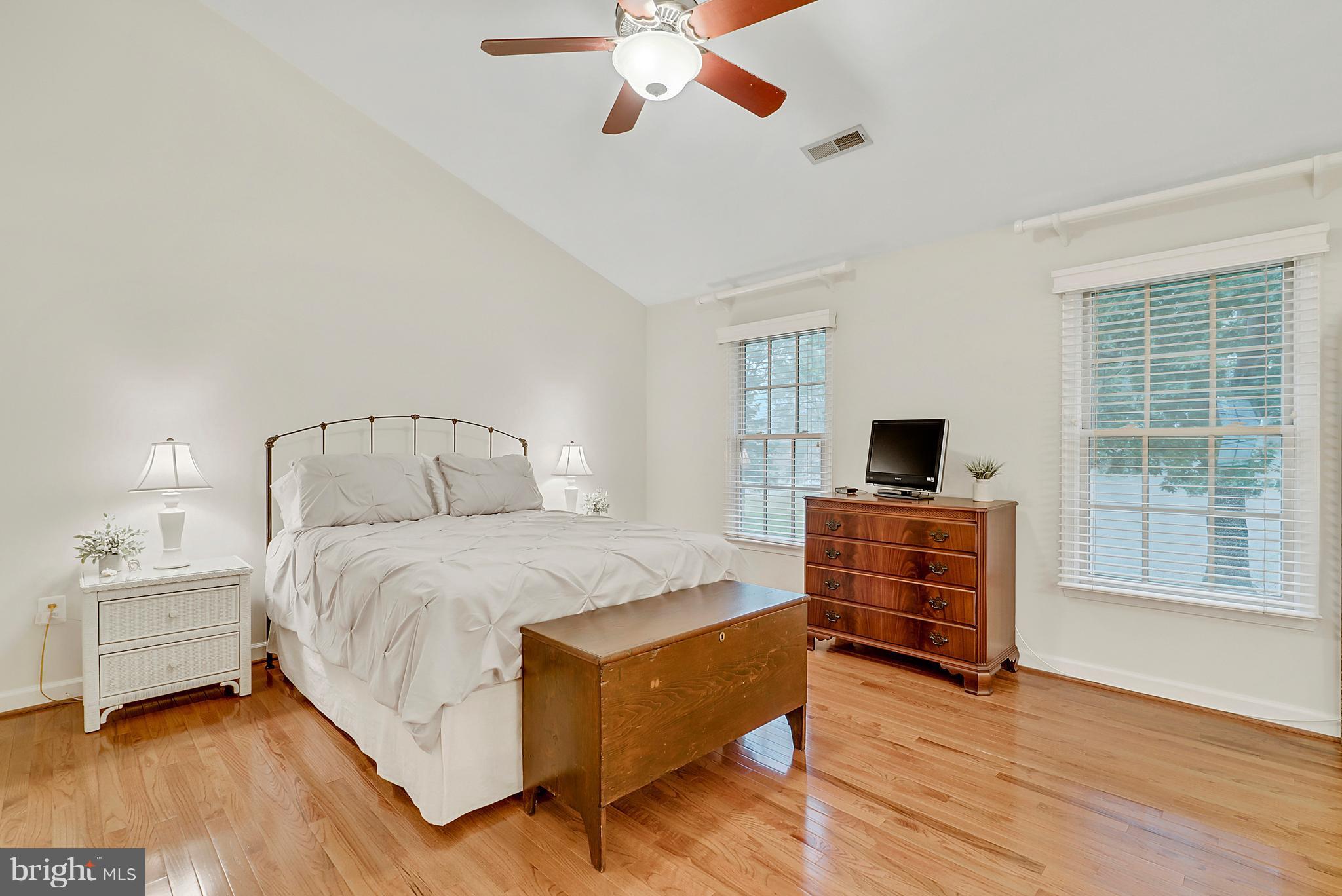 PLANE TREE - Residential