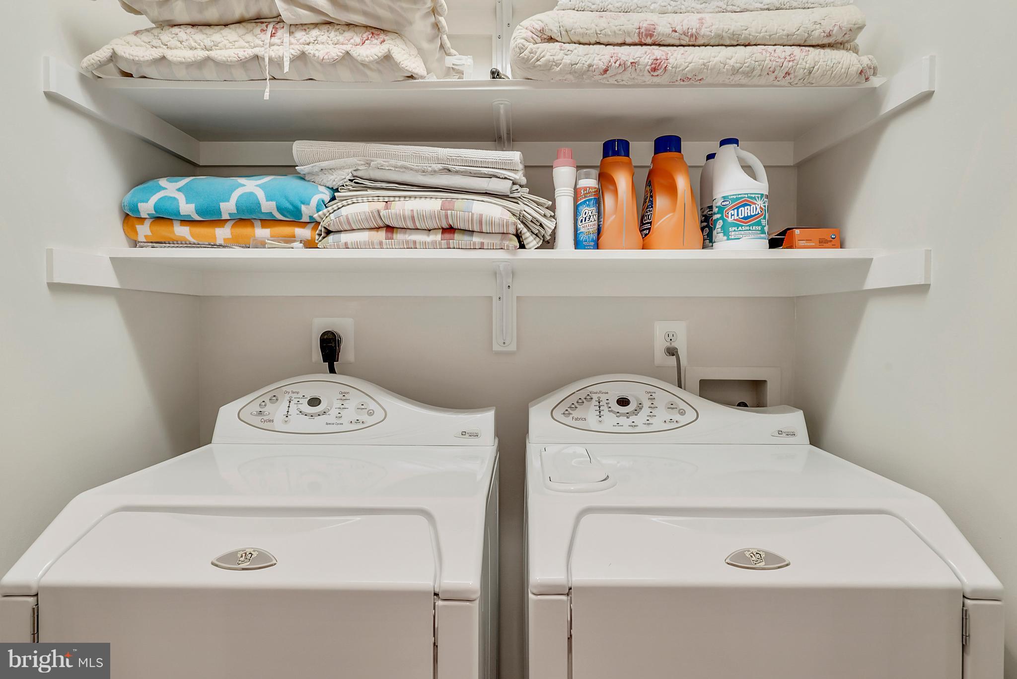 PLANE TREE - Residential