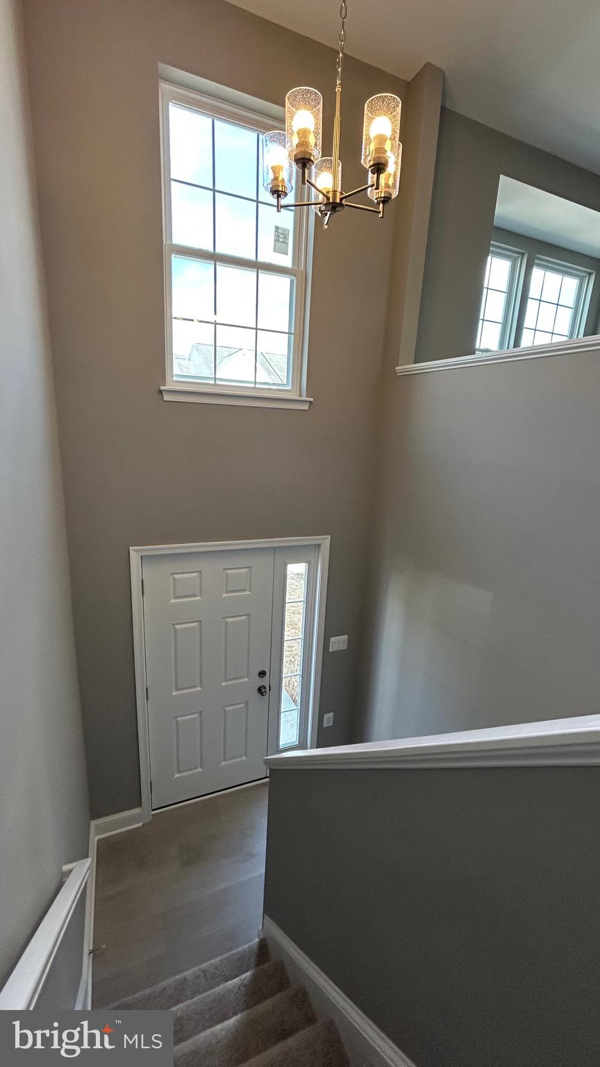 HOLLY WOODS - Residential