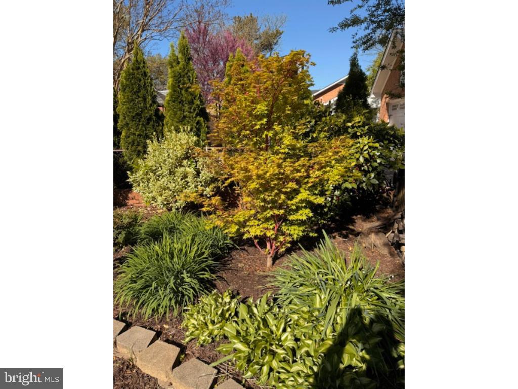 BRADDOCK HEIGHTS - Residential