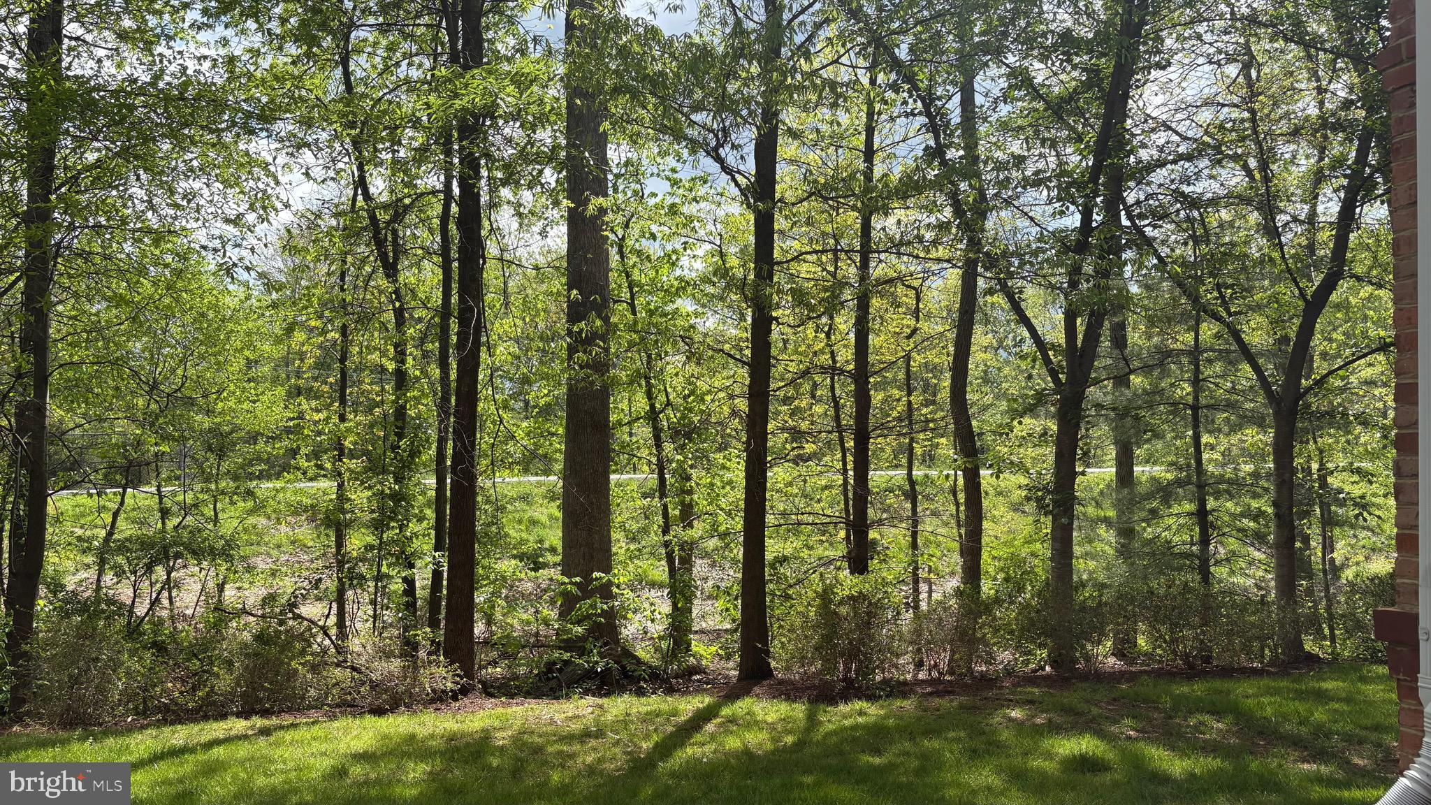 RIDGES AT BELMONT - Residential