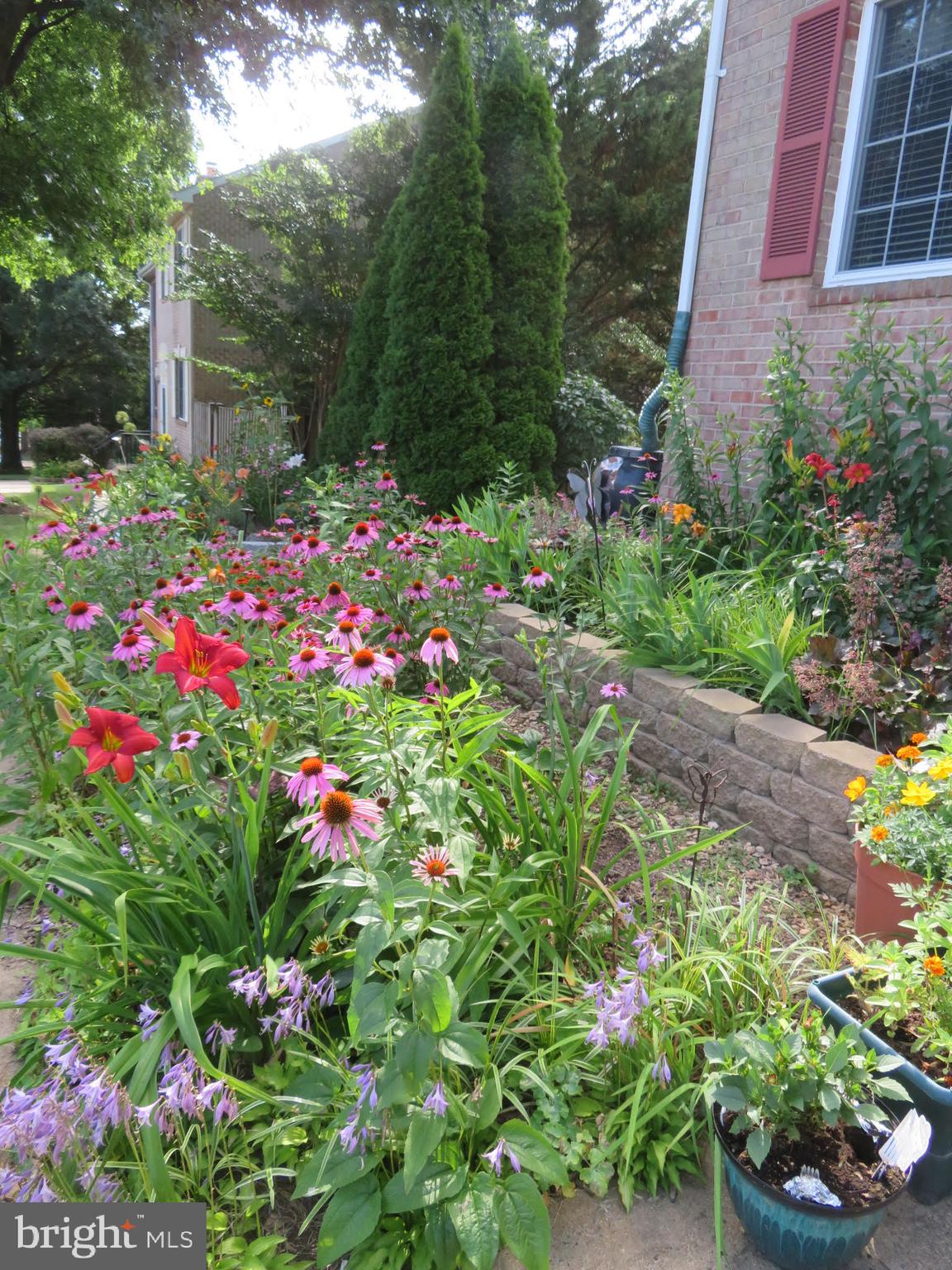 MIRROR RIDGE - Residential