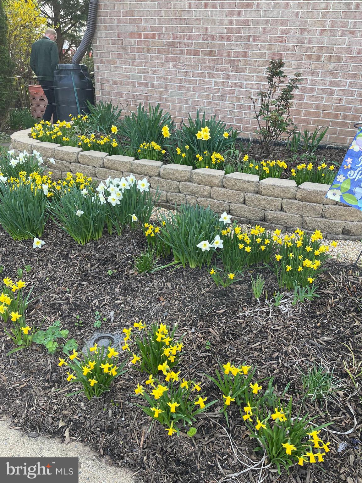 MIRROR RIDGE - Residential