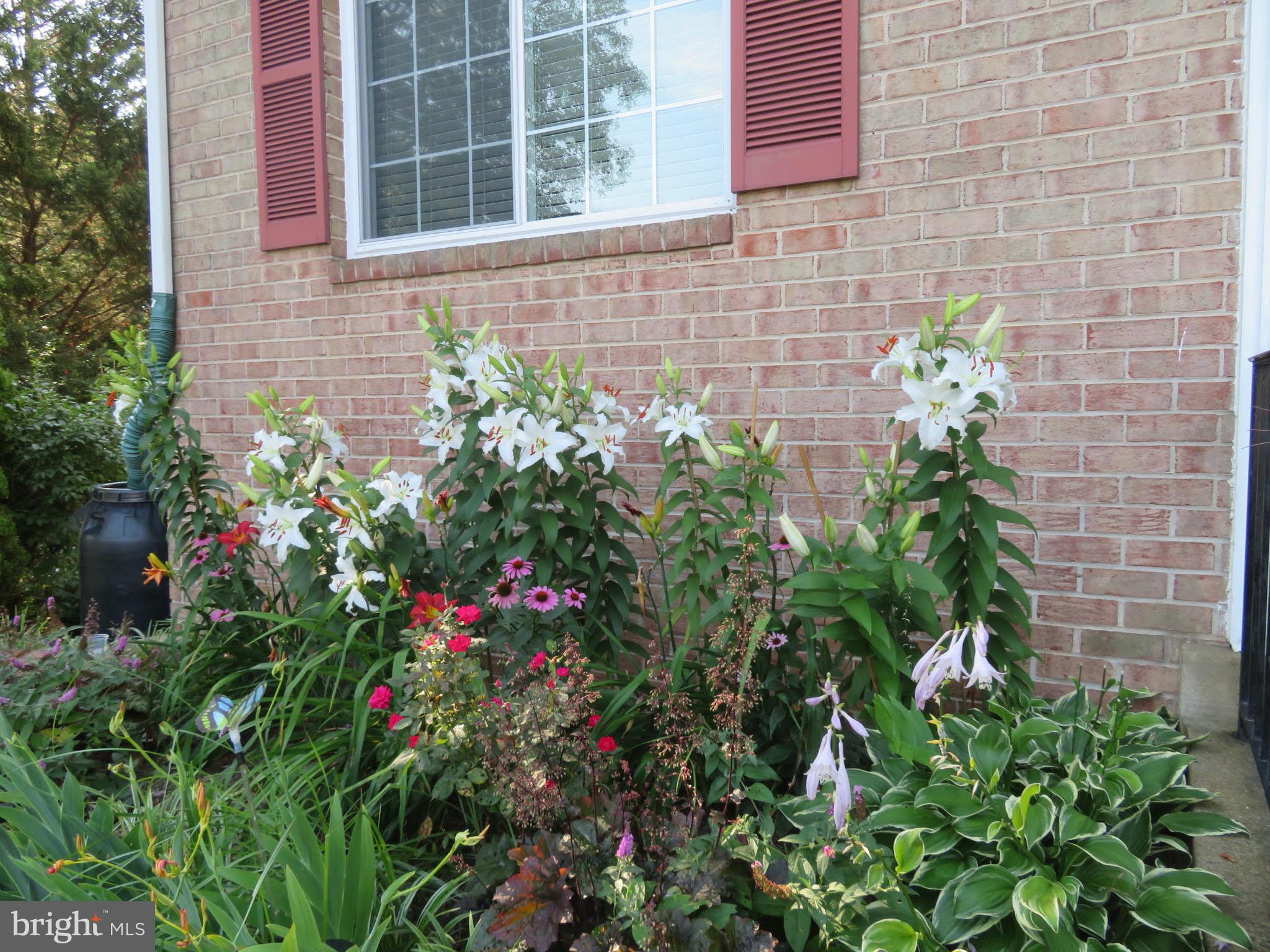 MIRROR RIDGE - Residential