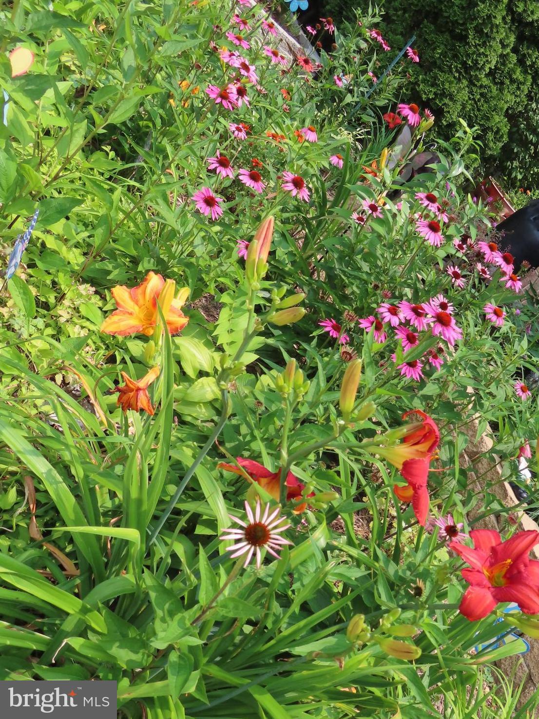 MIRROR RIDGE - Residential