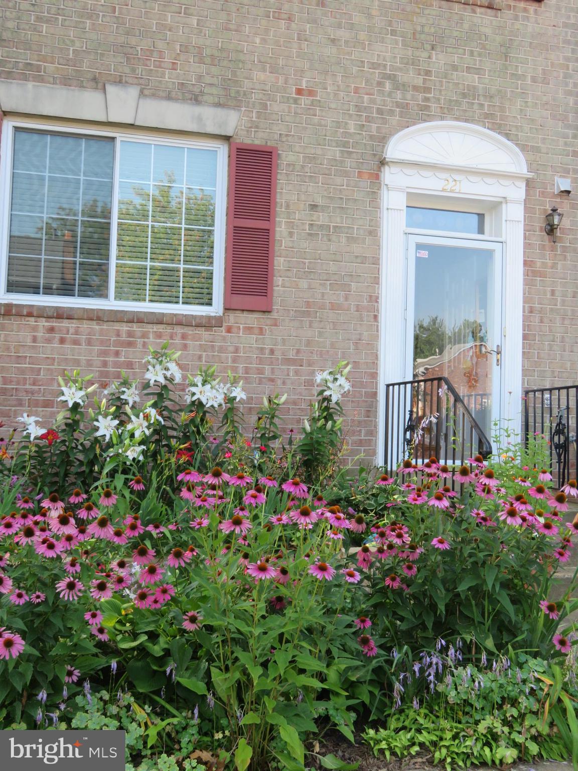 MIRROR RIDGE - Residential