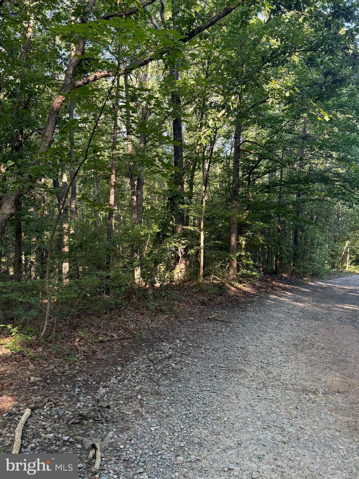 Lot 20 FOXBROOK LANE