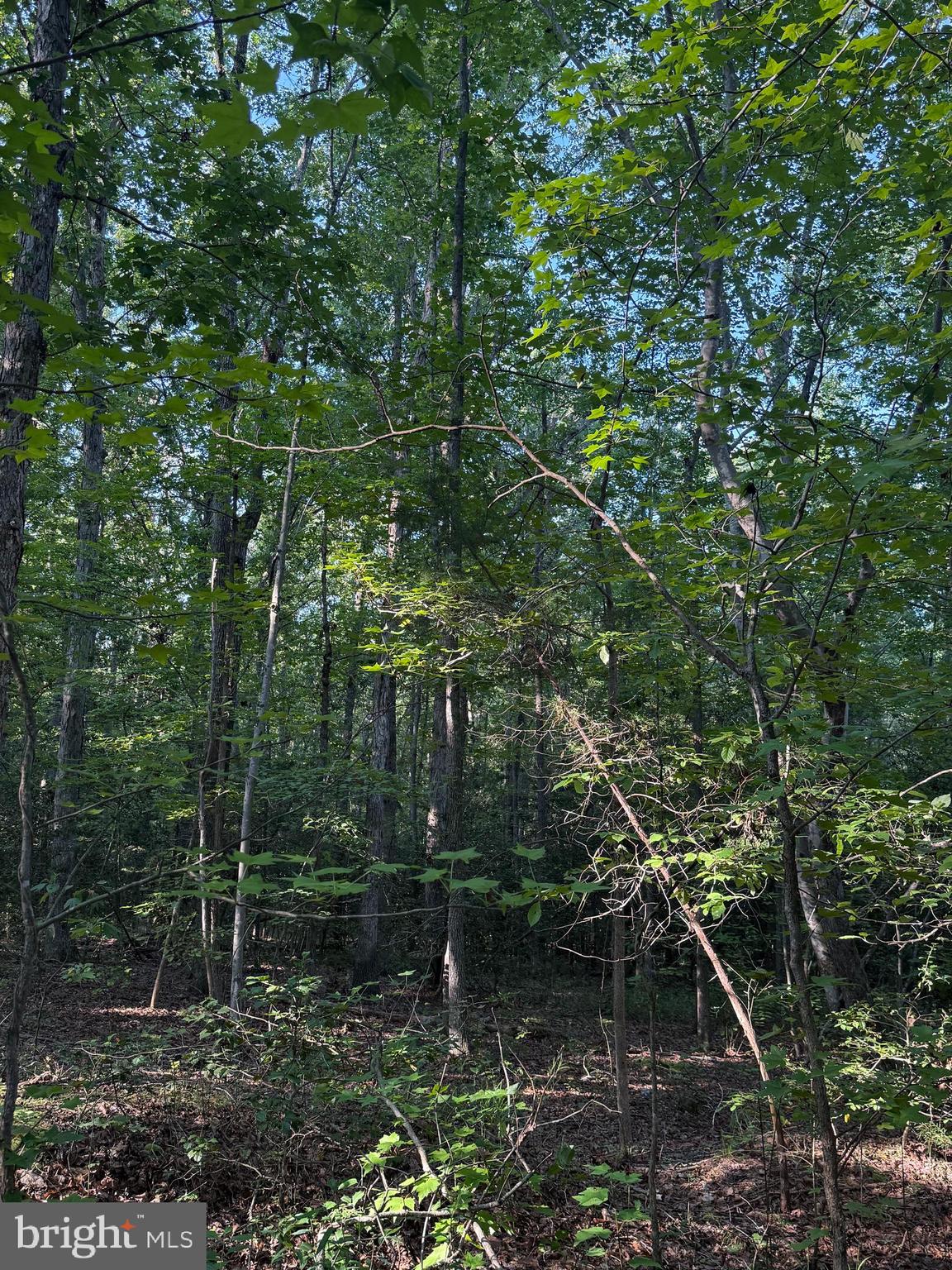 Lot 20 FOXBROOK LANE