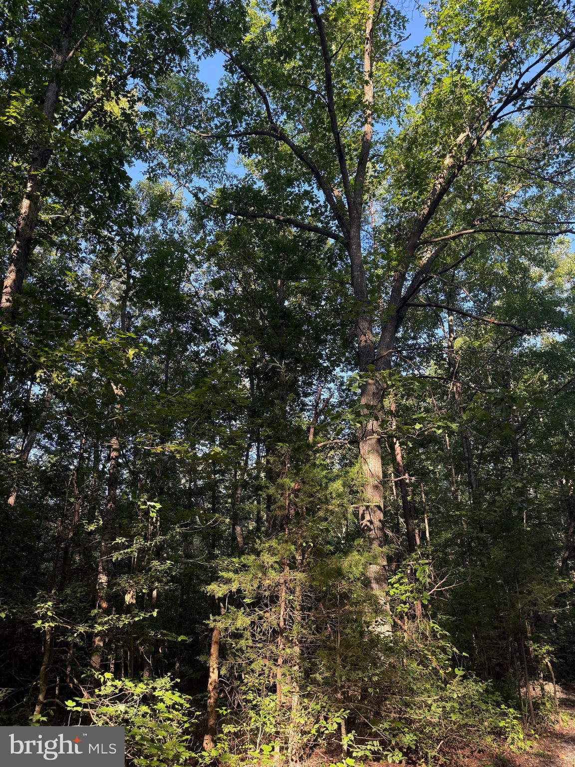 Lot 20 FOXBROOK LANE