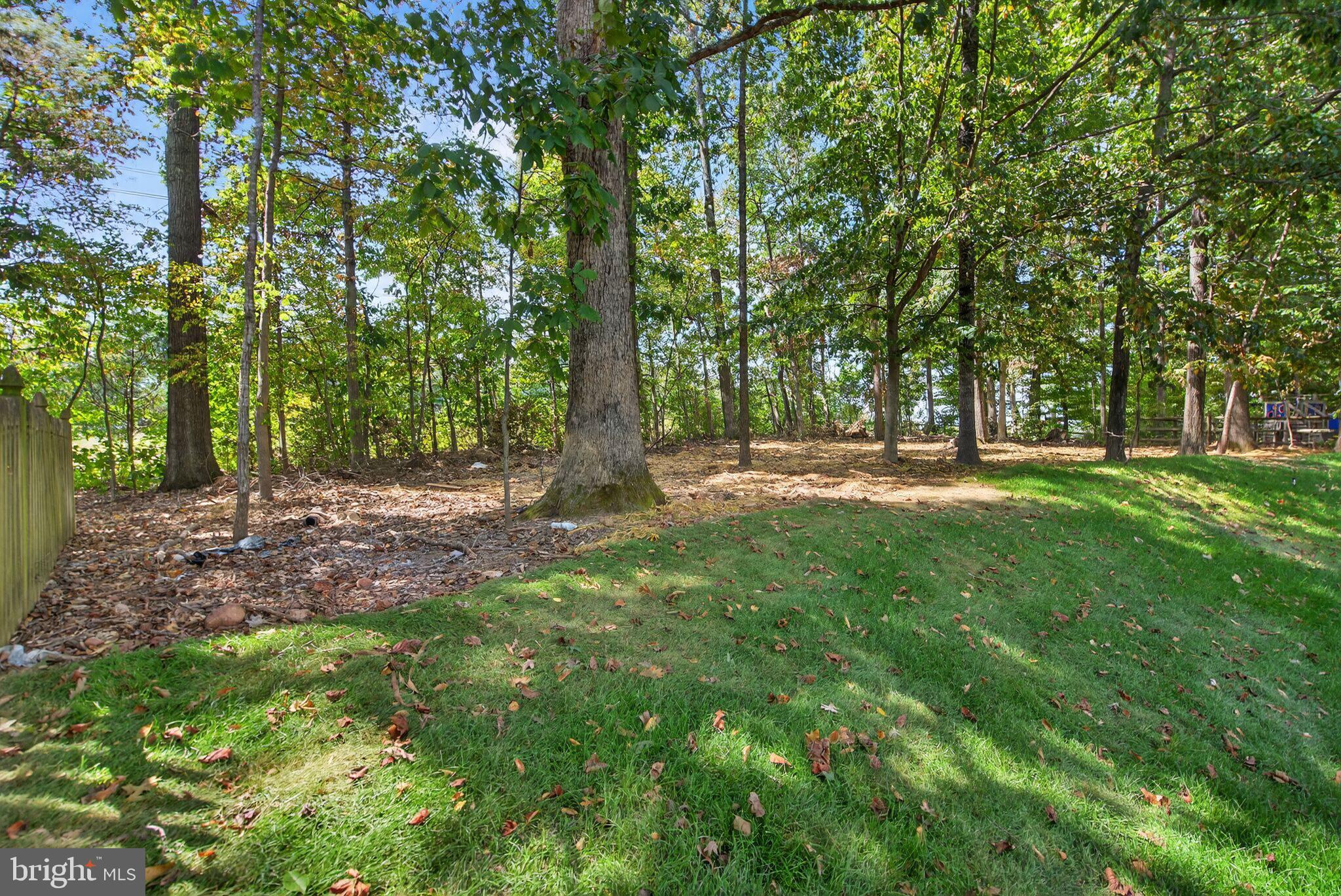 13907 WHETSTONE MANOR COURT