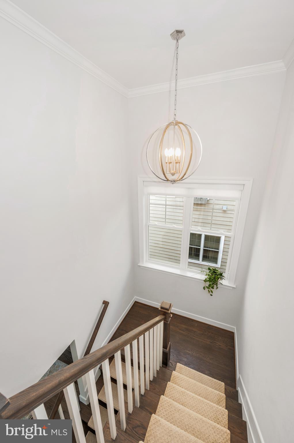 NORTH BETHESDA GROVE - Residential