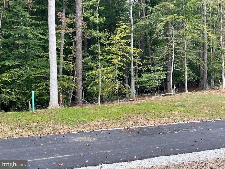 Welcome to Ridgewood Estates!! Tucked away and nestled in the heart of Williamsburg, VA. This beautiful subdivision is minutes from Colonial Williamsburg and everything Williamsburg has to offer. Kimberly Builders has beautiful lots ranging from .49 acres to 1.89 acres for your selection. Reserve your spot now with only 7 lots left in this brand new 9 lot custom home subdivision. No HOA, Private individual deep wells, county sewer, mature hardwoods, gentle rolling lots, no future development adjacent to property, no shrink/swell soil, space for pool and/or detached garage. Ready to build and need a plan? With over 250 previously custom built homes, you may like one of our existing plans. If not, no problem. We include plan design with no cost to you.