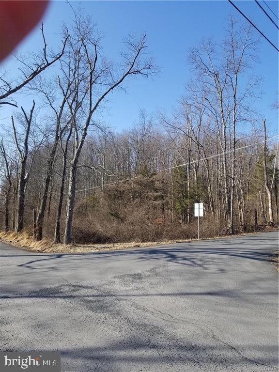 Discover the perfect blend of privacy and potential with this stunning 4.05-acre flat, wooded corner lot in the heart of Tinicum Township. Tucked away in a serene setting, this expansive property offers endless possibilities for your dream home or future development. With possible subdivision potential, this lot is an ideal opportunity for investors, builders, or homeowners looking for a secluded retreat with room to grow. The flat terrain ensures ease of building, while the mature trees provide natural beauty and privacy. Conveniently located near major routes, shopping, and dining, yet nestled in a peaceful setting, this property offers the best of both worlds. Don’t miss your chance to own a piece of Tinicum Township’s sought-after landscape! Seize this rare opportunity—contact us today for more details! MOTIVATED SELLER, BRING ALL OFFERS