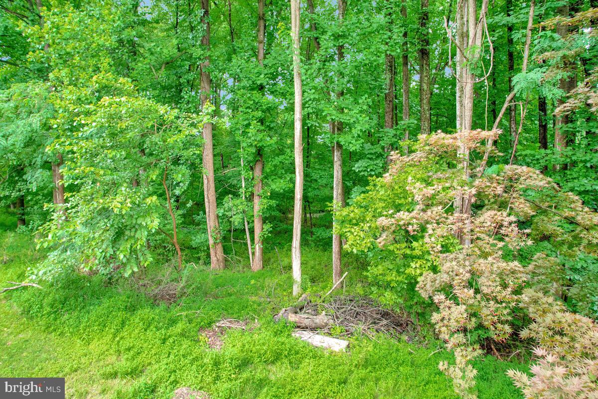 VILLAGE OF HICKORY RIDGE - Residential Lease