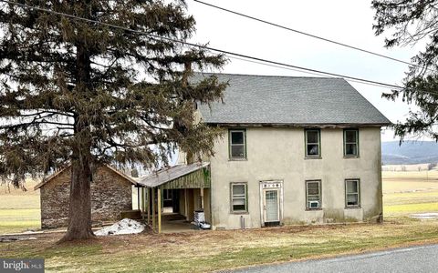 133 HUNTER ROAD OLEY PA 19547