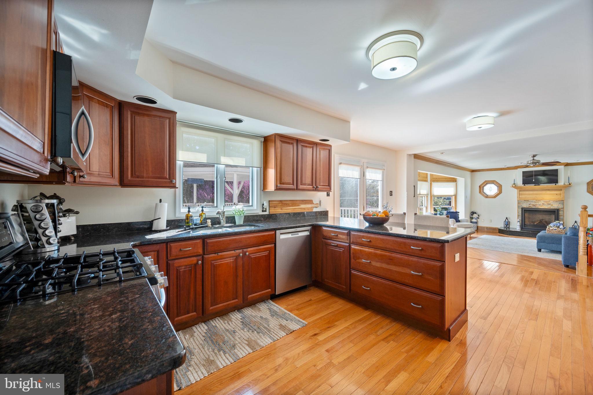 14509 HOLSTEIN COURT