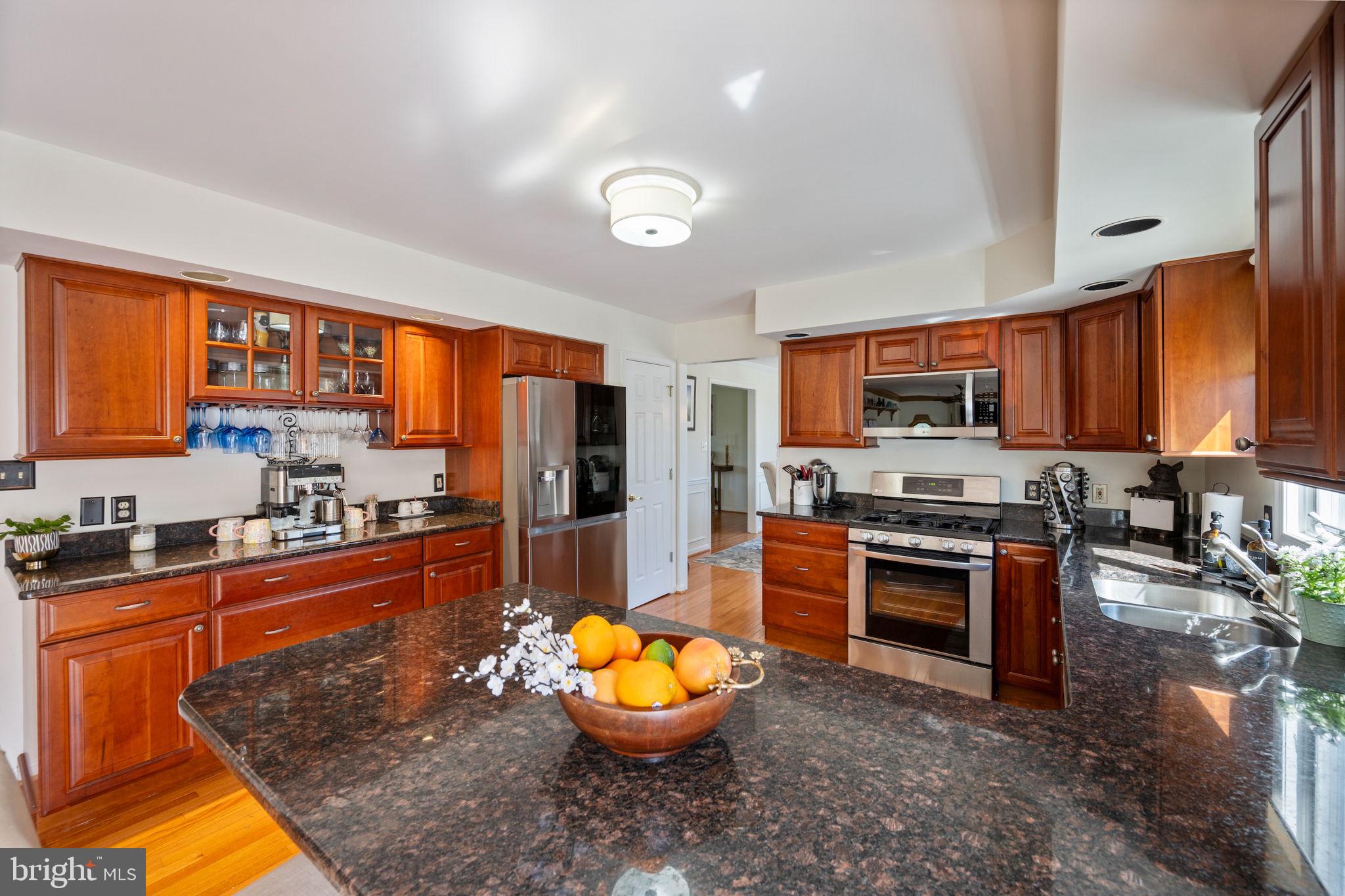 14509 HOLSTEIN COURT