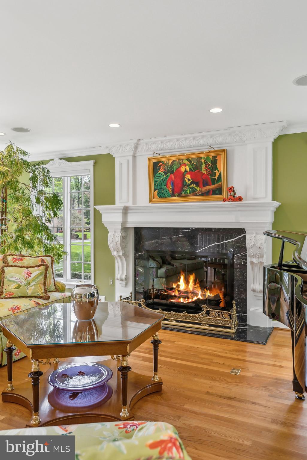 OLDE SWINKS MILL ESTATES - Residential