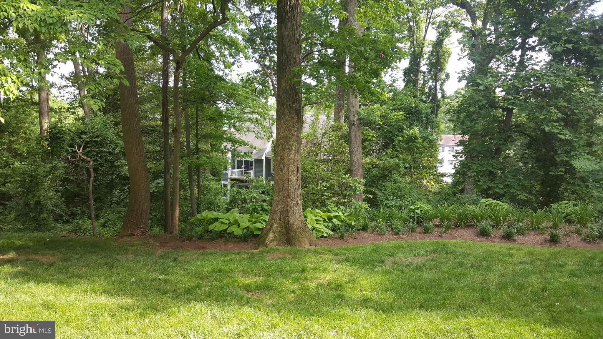 BAY HILLS - Residential Lease