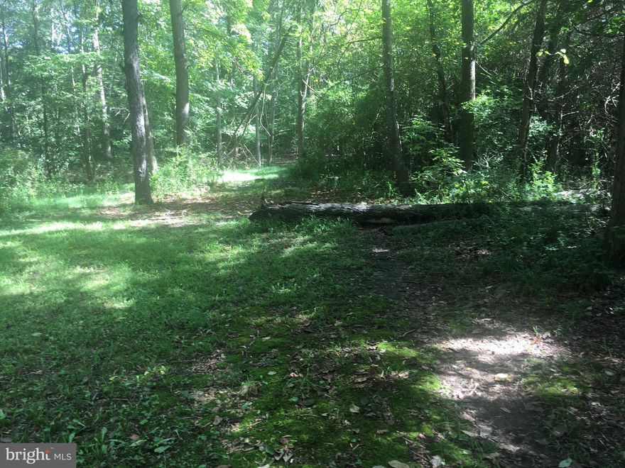 Nice level lot close to 210. Three adjoining lots 3280 Metropolitan Church RD, 6725 and 6745 Bristol Oak Place for sale.  All four lots are to be sold together for a purchase price of $217,000. The trailer on the property will be removed.