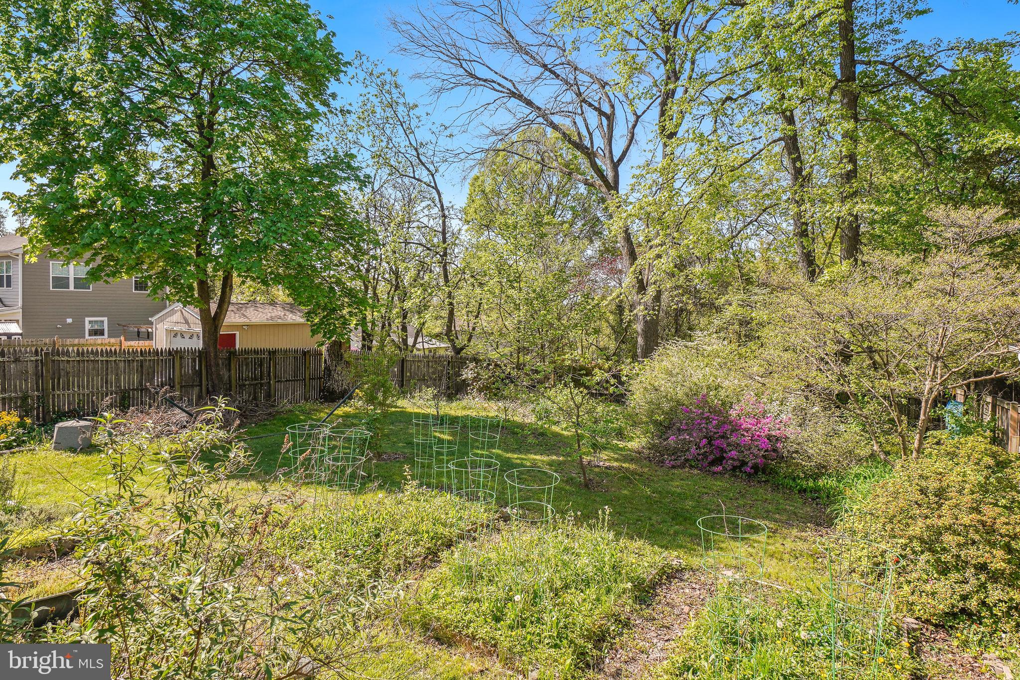 TAKOMA PARK - Residential