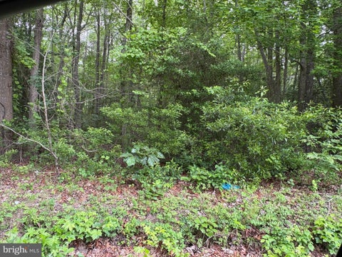Vacant Land For Sale - 00 Bogey Neck Rd Rd #43-1-2A<br/> HEATHSVILLE, VA 22473