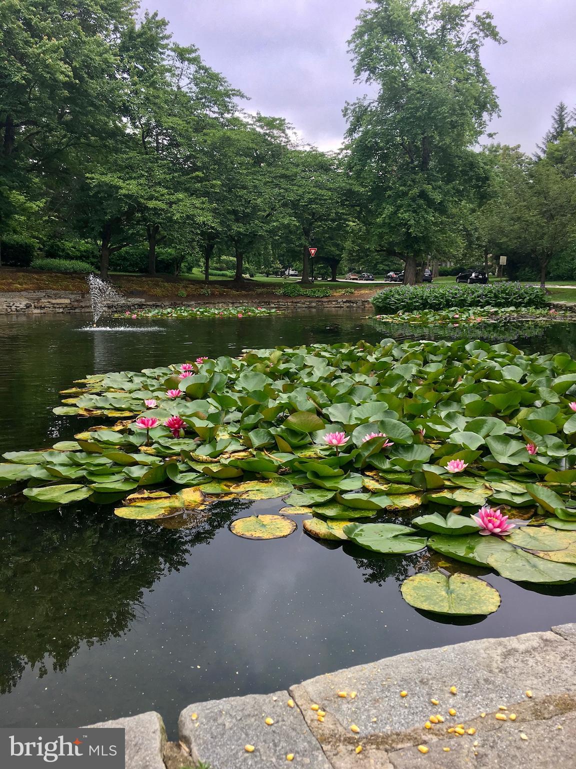 GREATER HOMELAND HISTORIC DISTRICT - Residential