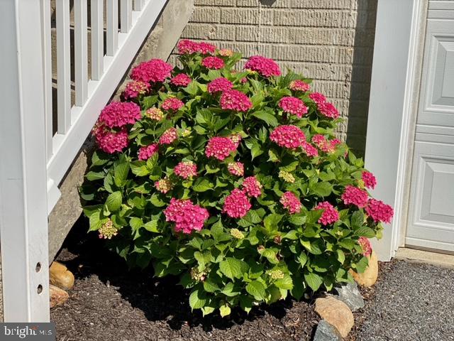 WAMPLER WOODS - Residential