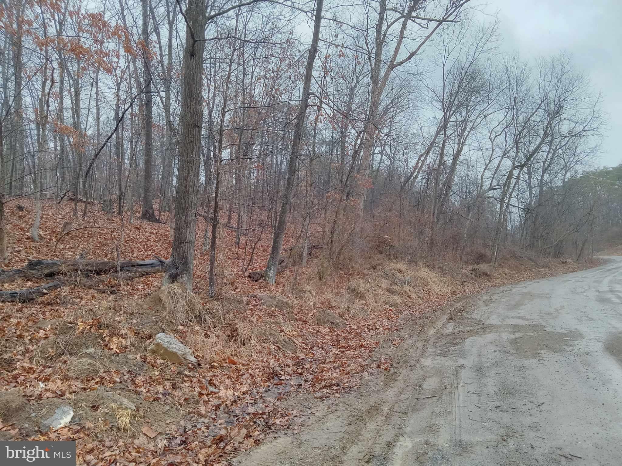 77 ALAMO LANE
