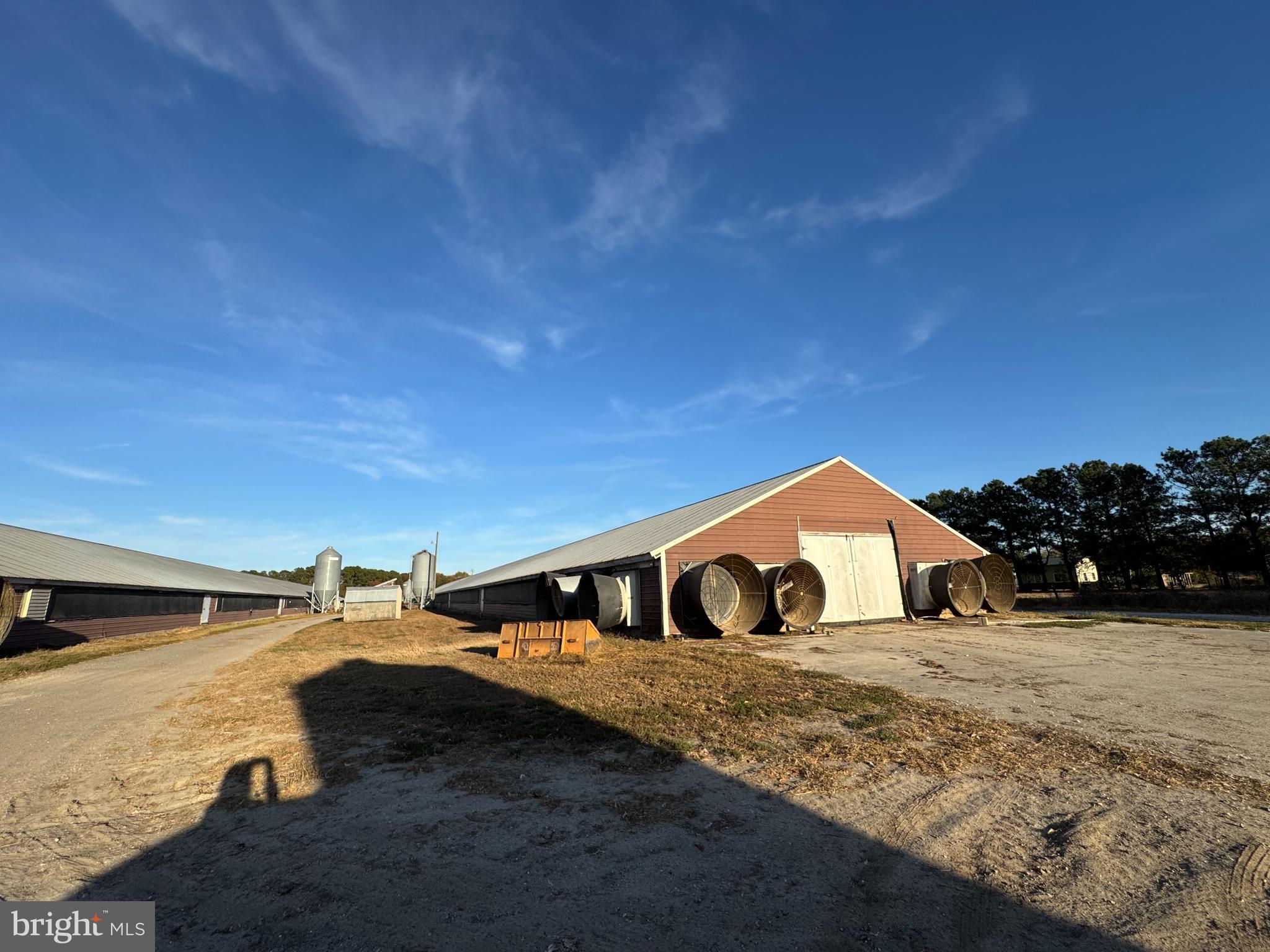 31568 MOUNT PLEASANT ROAD