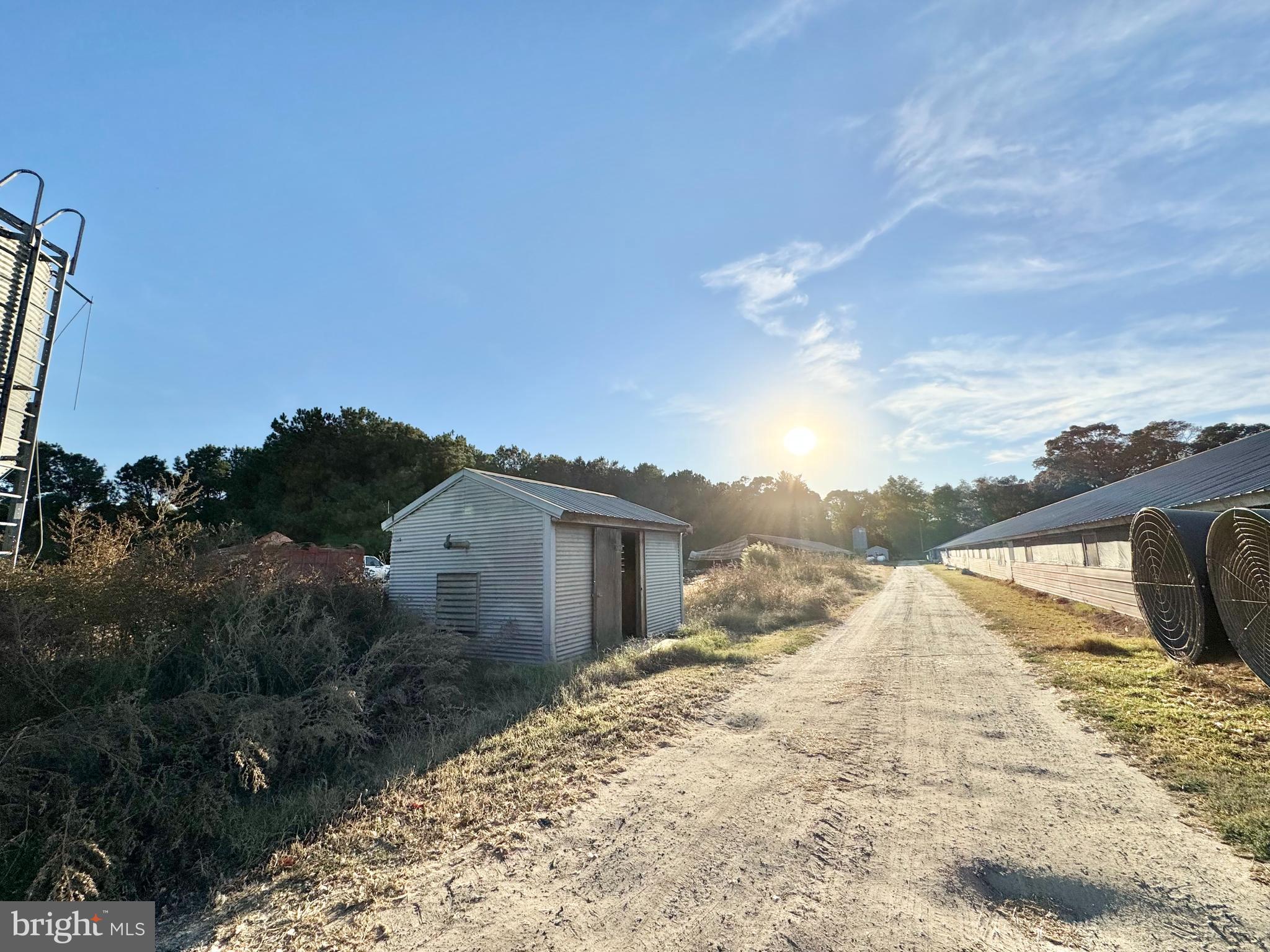 31568 MOUNT PLEASANT ROAD