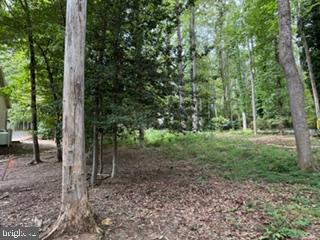 Vacant Land For Sale - LOT 162C Indian Hills Road<br/> Orange County, LOCUST GROVE, VA 22508