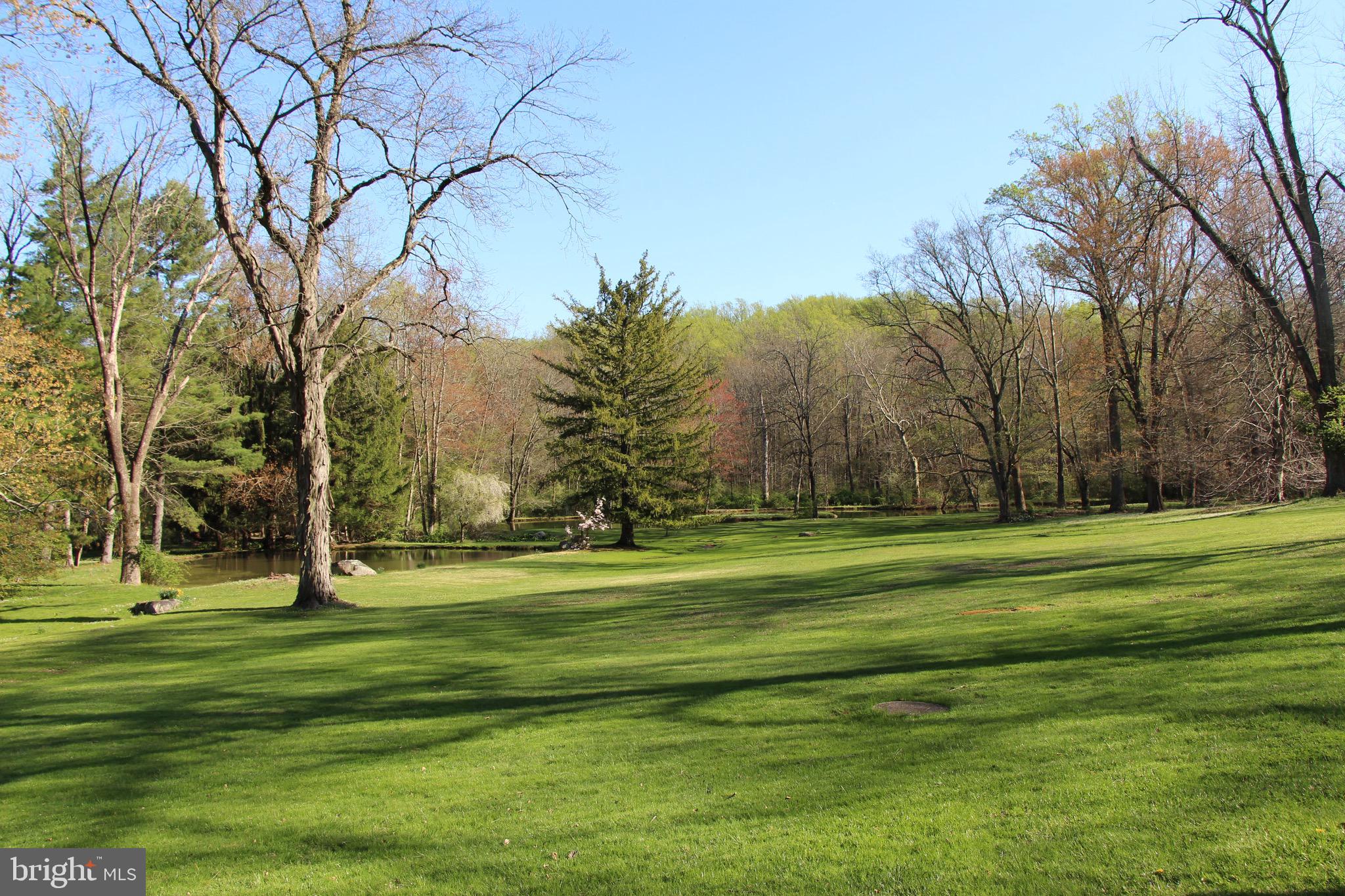 RADNOR HUNT - Residential