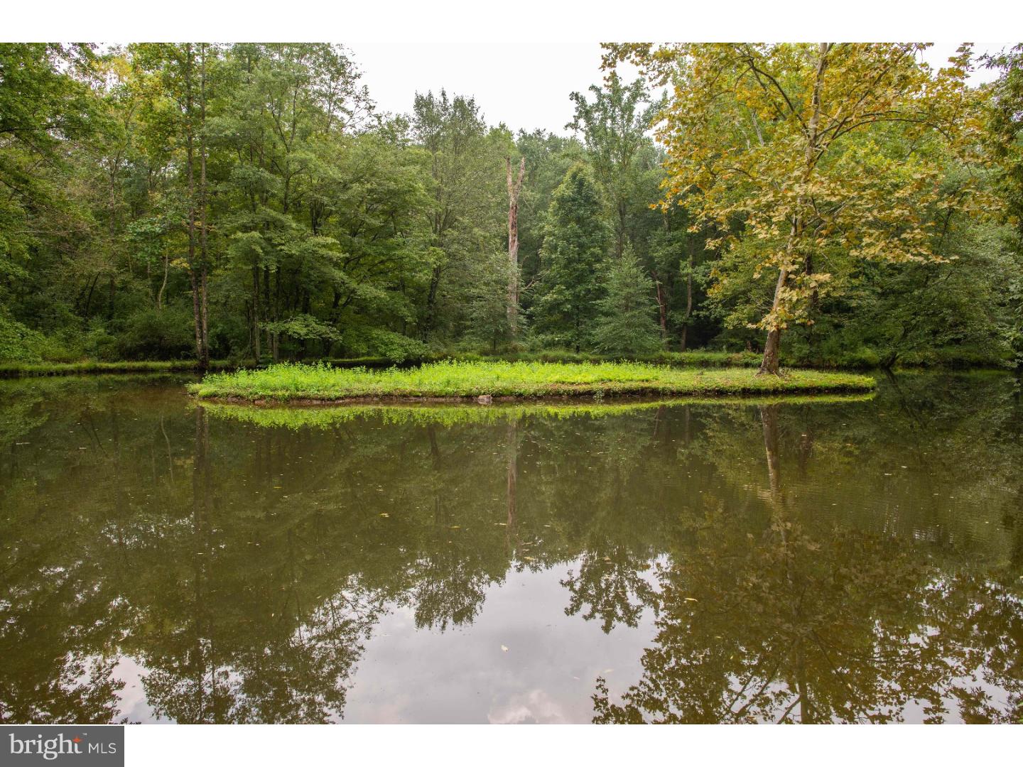 RADNOR HUNT - Residential