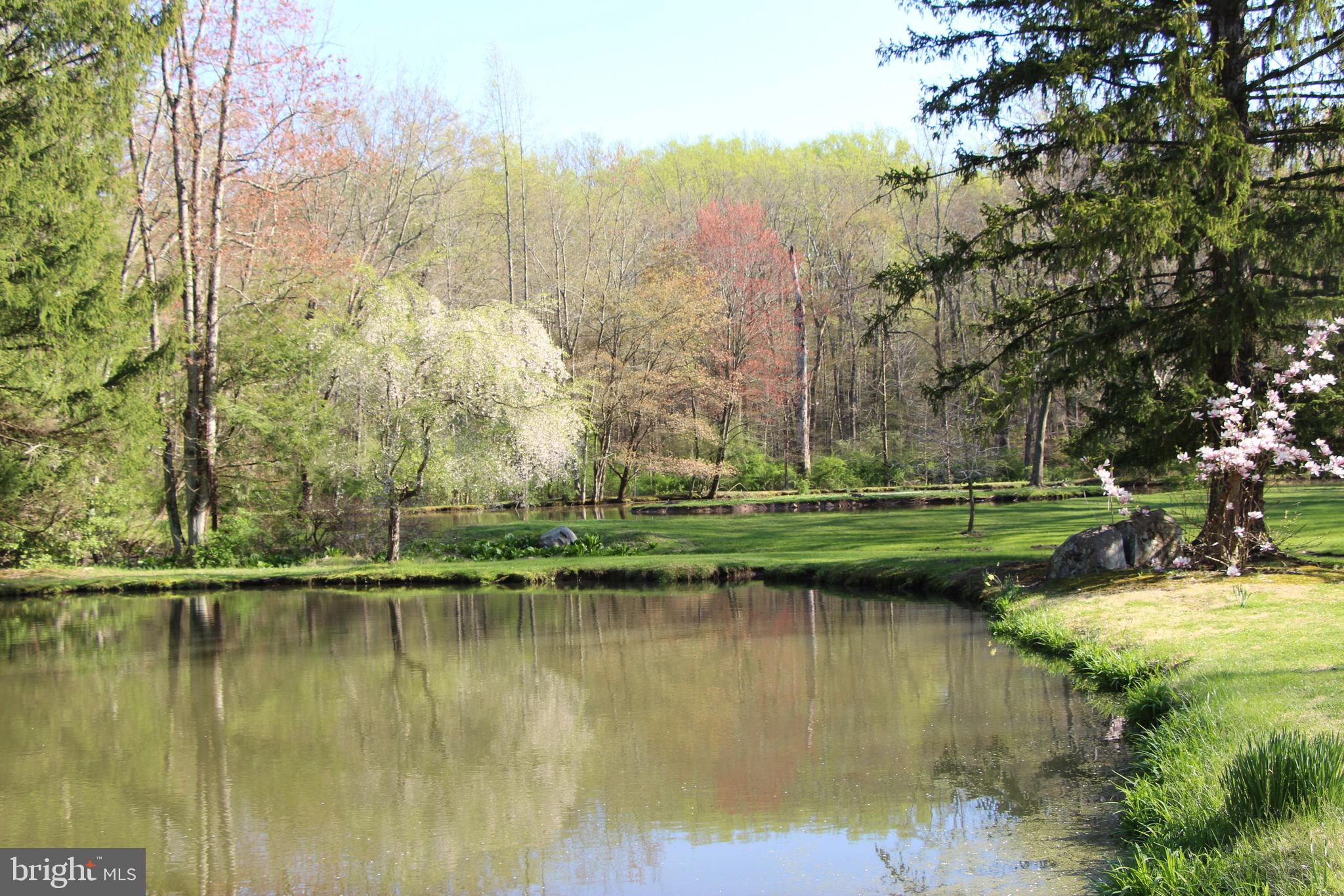 RADNOR HUNT - Residential