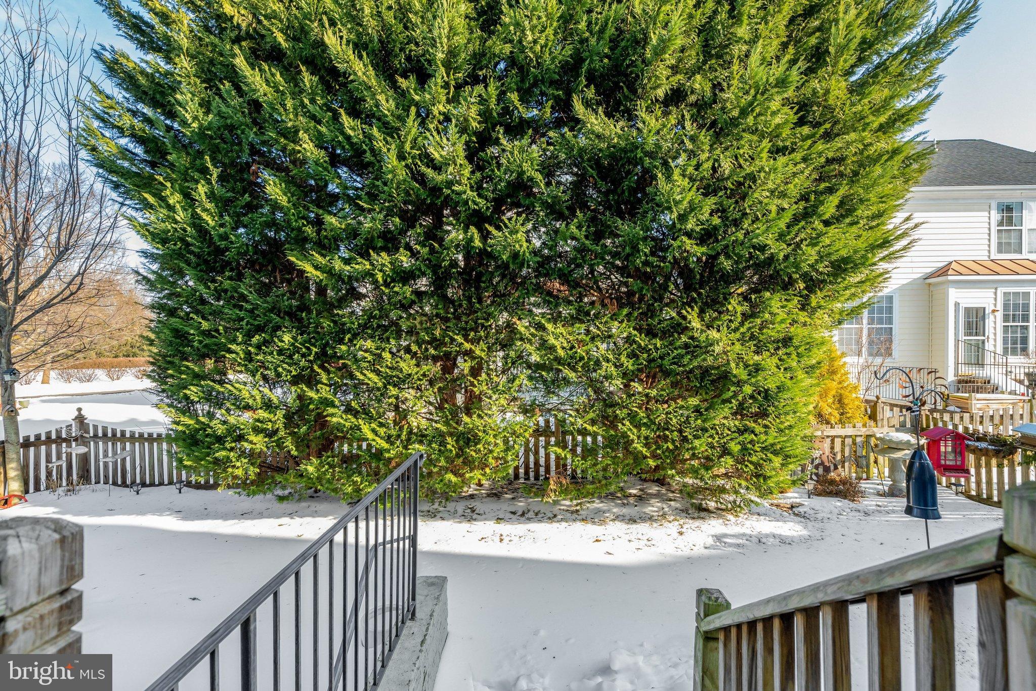 VILLAGES AT HAYMARKET - Residential