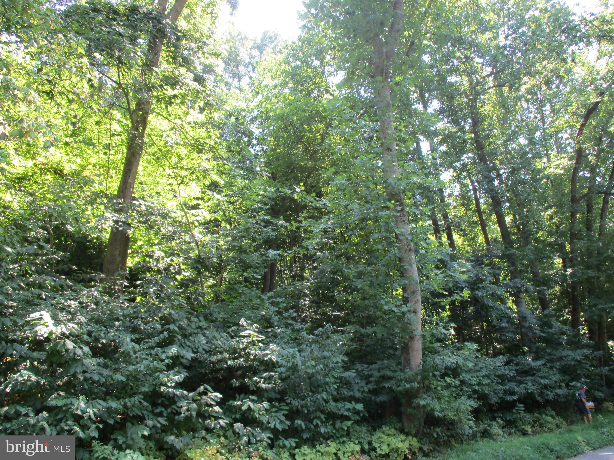 WATERSIDE RESERVE - Land