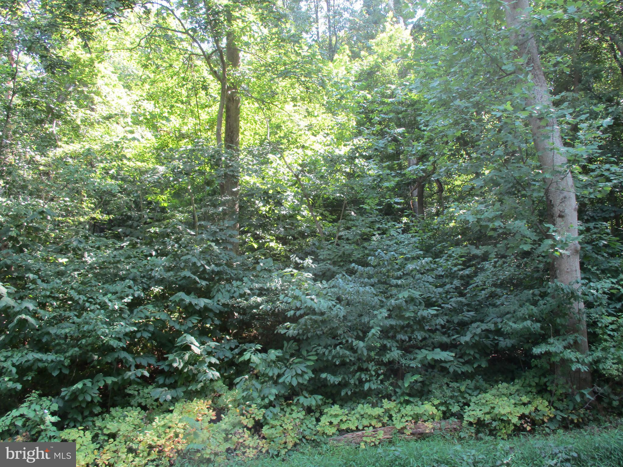 WATERSIDE RESERVE - Land