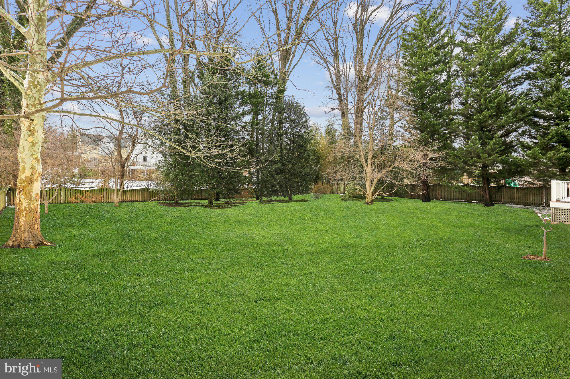 CHEVY CHASE VIEW - Residential