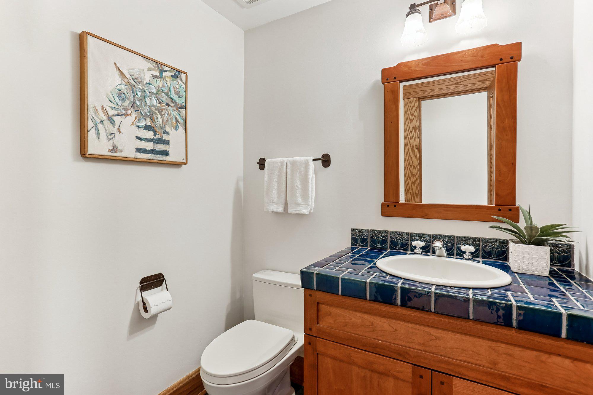 CHEVY CHASE VIEW - Residential