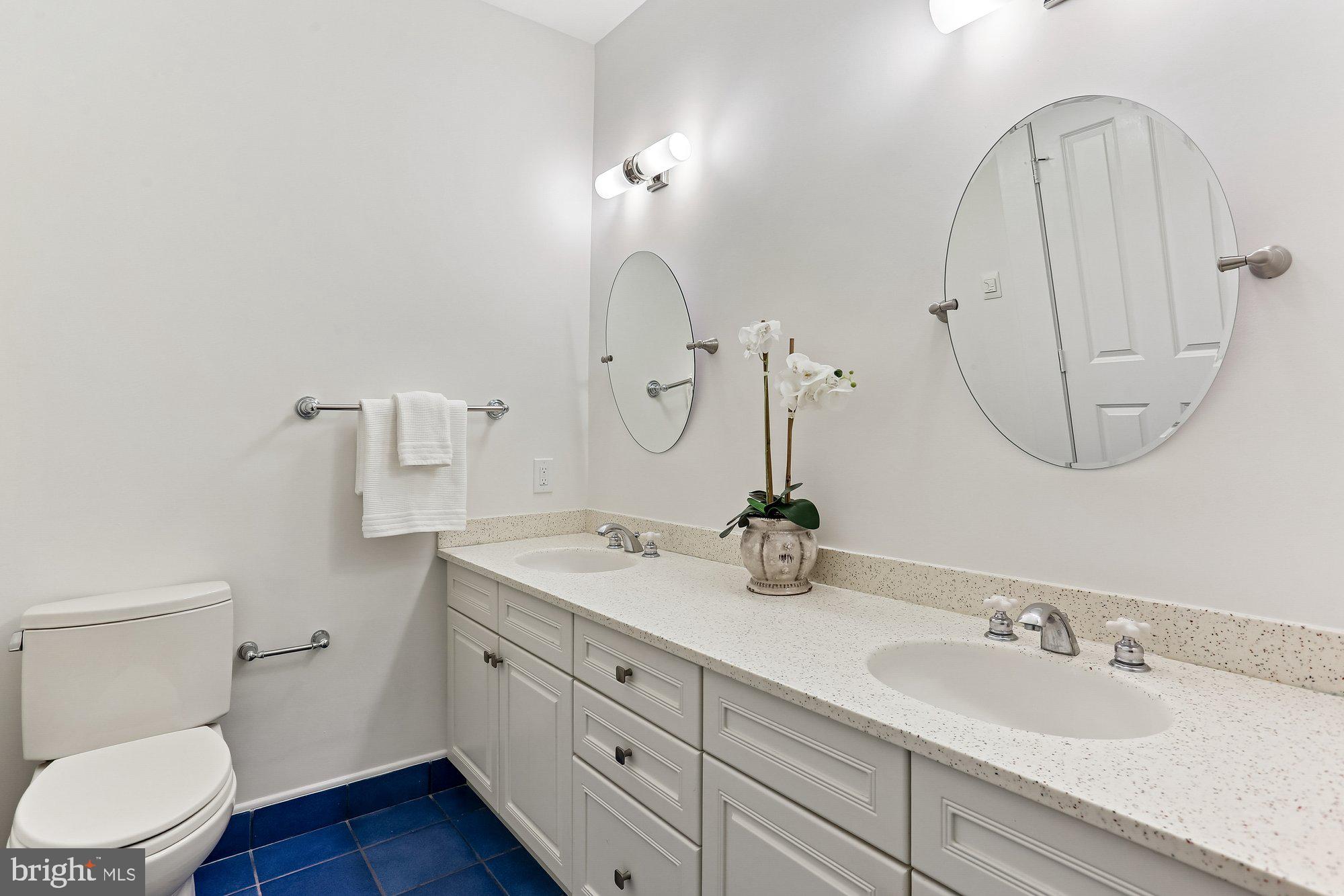 CHEVY CHASE VIEW - Residential