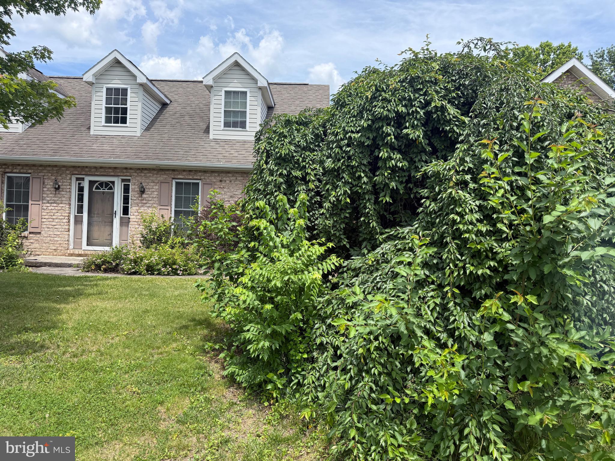 349 CAROLLE STREET