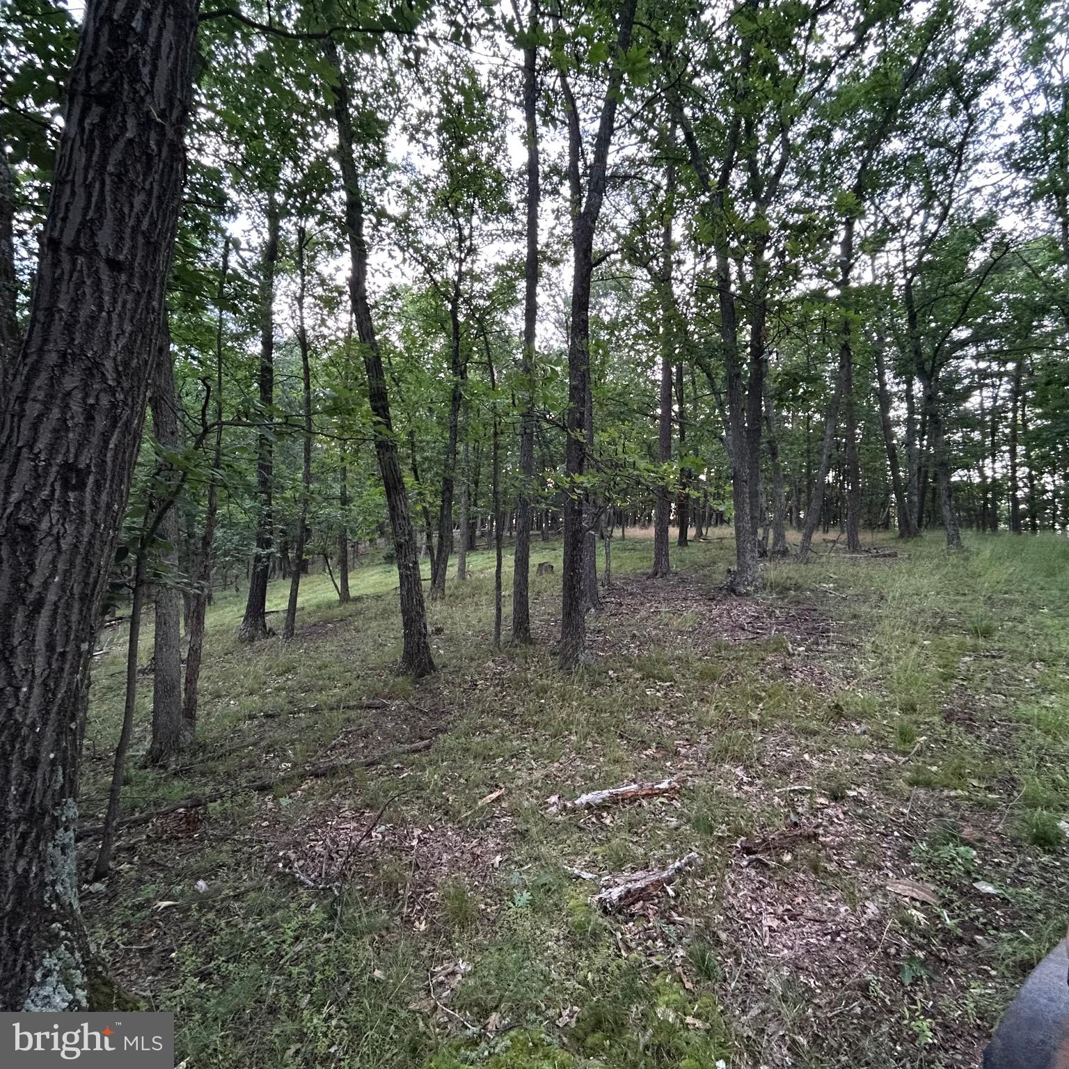 00 HEADSVILLE RD