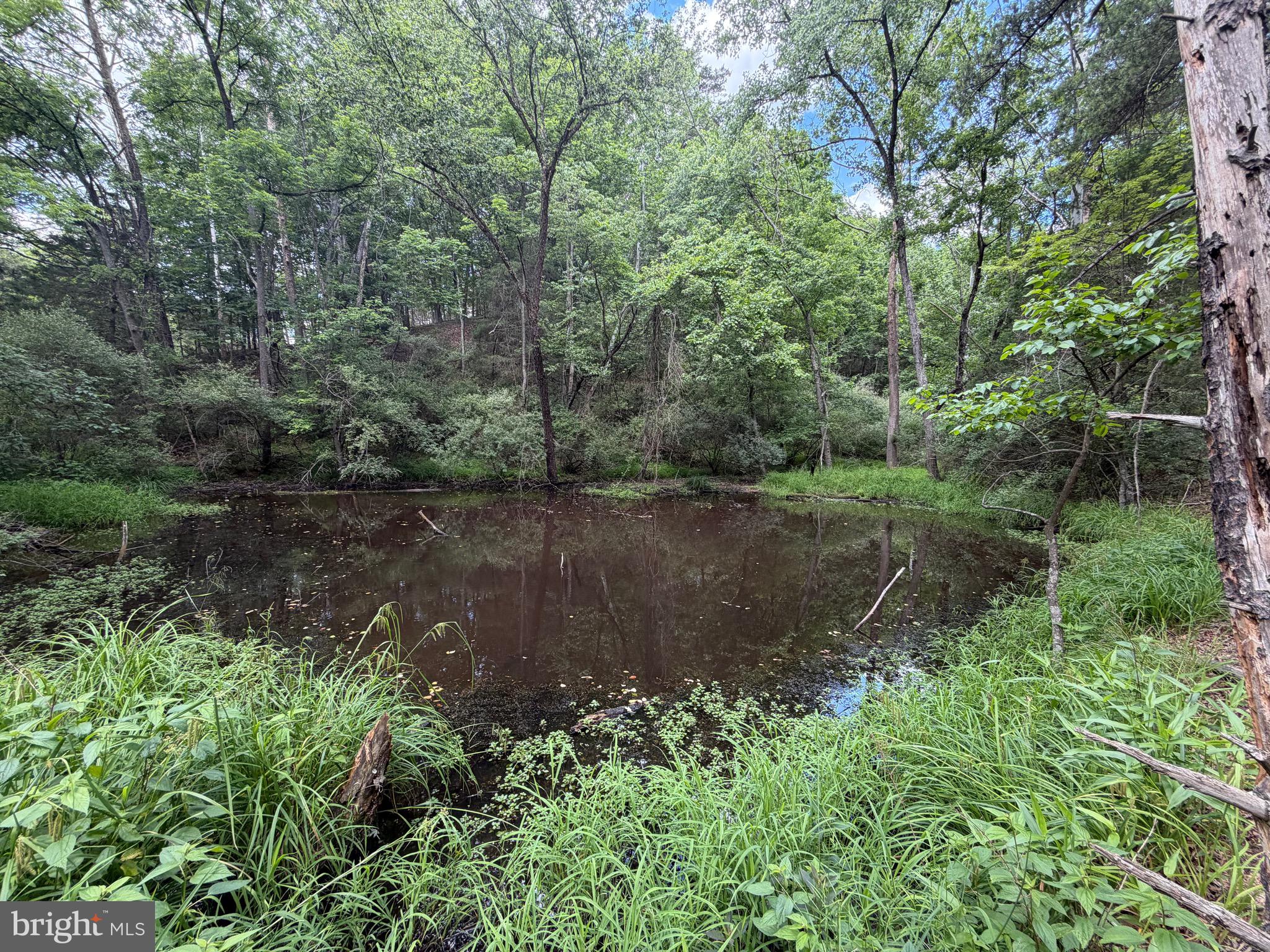 00 HEADSVILLE RD
